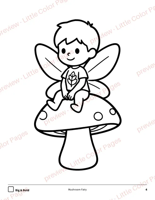 Big & Bold coloring page, page 4 of the Fairies and Rainbows Coloring Box, shown small with a preview mark