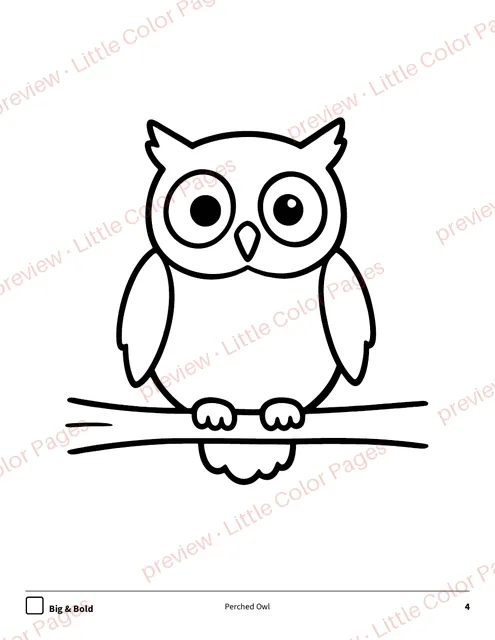Big & Bold coloring page, page 4 of the Woodland Animals Coloring Box, shown small with a preview mark